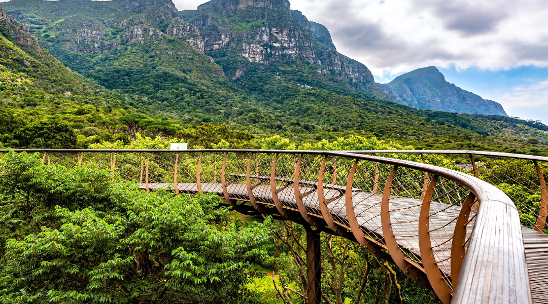 Passarela elevada em meio à floresta com montanhas ao fundo.